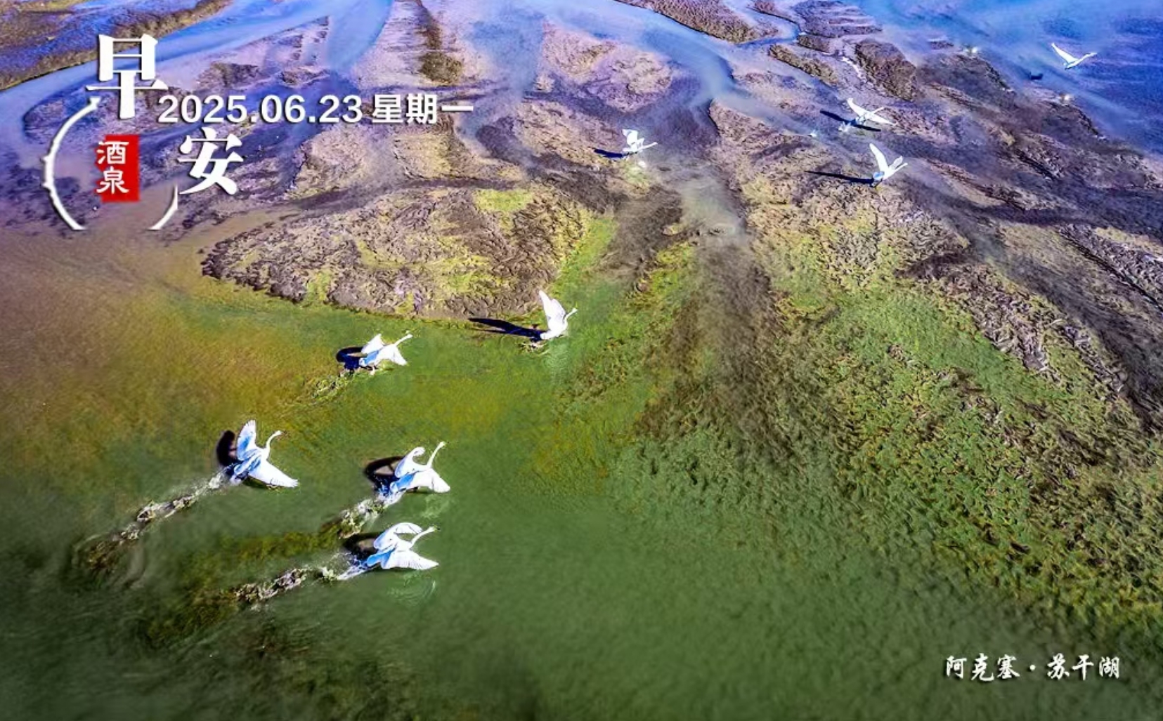 微信截图_20250623062725.png