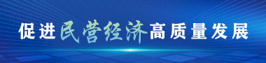 促进民营经济高质量发展